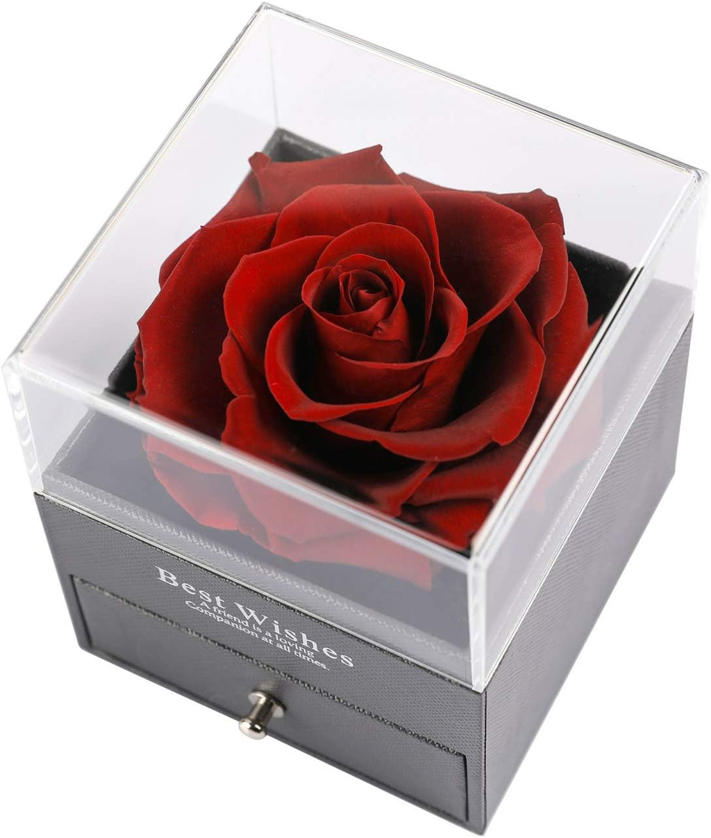 Luxury Rose with Heart Necklace and I Love You in 100 Languages Set