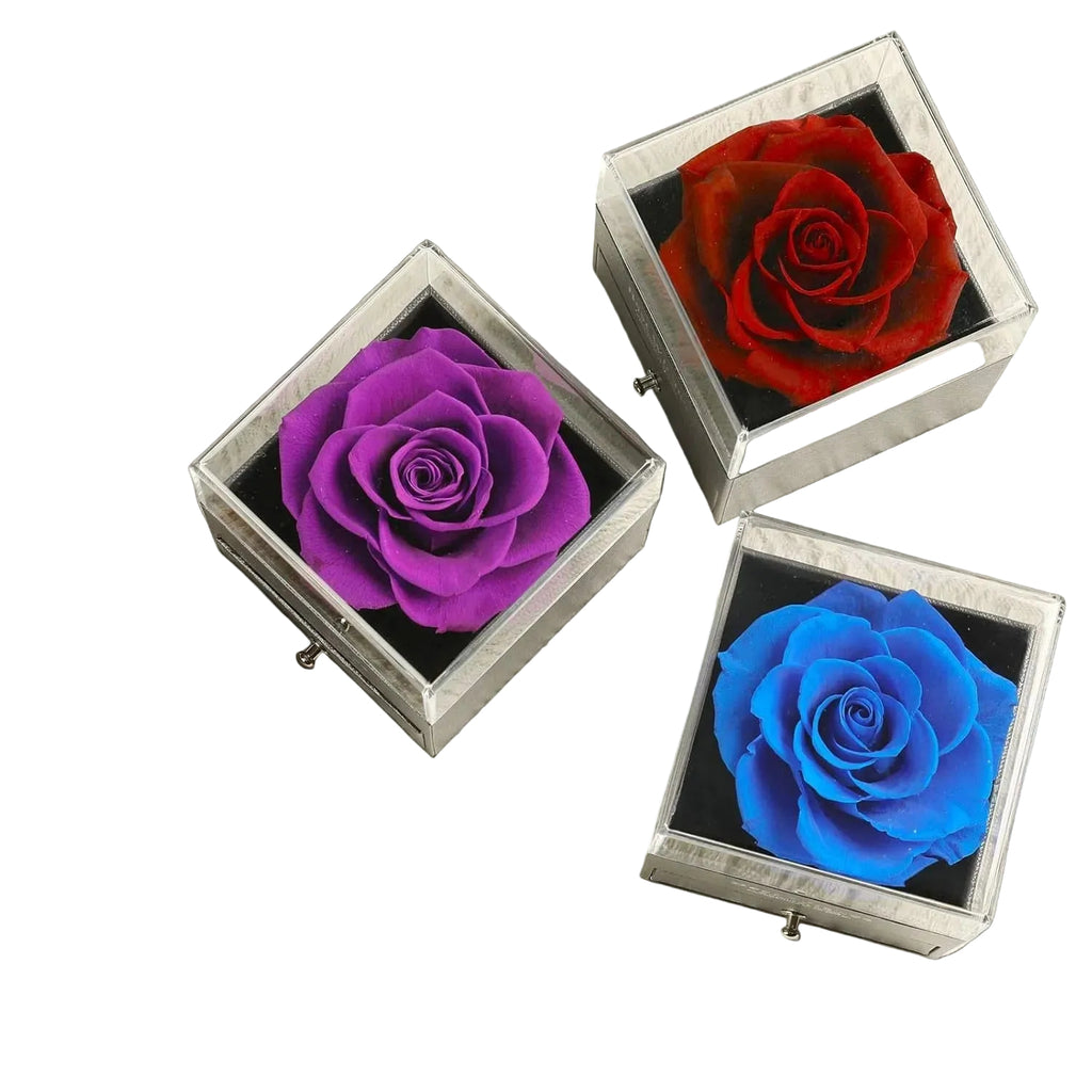 Luxury Rose with Heart Necklace and I Love You in 100 Languages Set