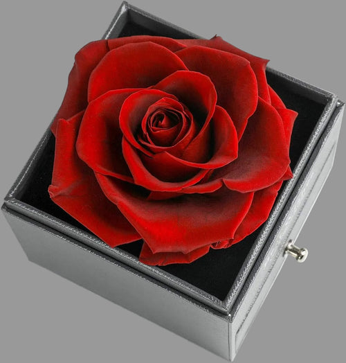 Luxury Rose with Heart Necklace and I Love You in 100 Languages Set